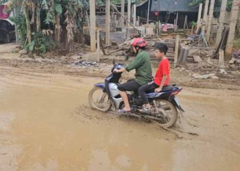 Tuyến đường đã xuống cấp nghiêm trọng. (Ảnh: VV)